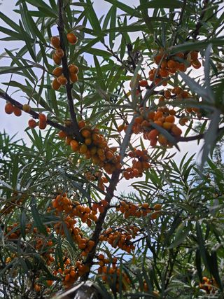 김시헌 님의 자유주제 · 자유게시판 작성글 사진