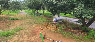 해균님의 감 · 영농일지 작성글 사진