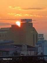 팜모닝 자유주제·자유게시판 게시글 이미지