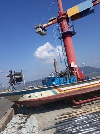 벼17790이정일님의 자유주제 · 자유게시판 작성글 사진