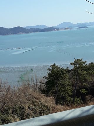 벼17790이정일님의 자유주제 · 자유게시판 작성글 사진