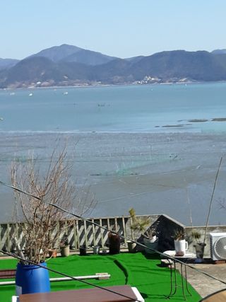 벼17790이정일님의 자유주제 · 자유게시판 작성글 사진