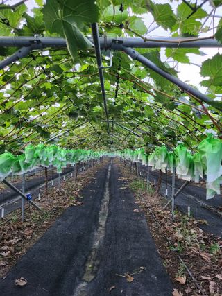 칠공언더님의 자유주제 · 자유게시판 작성글 사진