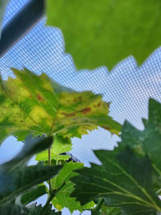 칠공언더님의 자유주제 · 자유게시판 작성글 사진