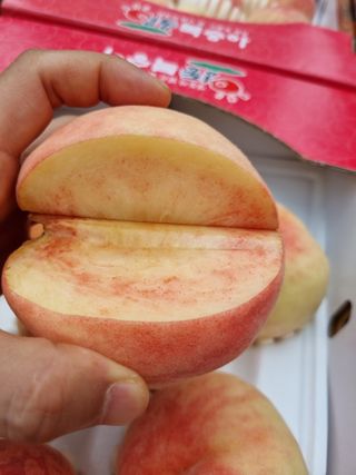 복숭아님의 복숭아 · 영농일지 작성글 사진