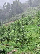 팜모닝 기타작물·영농일지 게시글 이미지