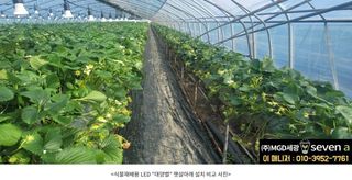 알 수 없음님의 농사, 무엇이든 물어보세요! · 참여글 작성글 사진