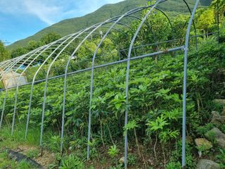 보길도박춘자님의 자유주제 · 자유게시판 작성글 사진