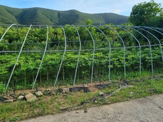 보길도박춘자님의 자유주제 · 자유게시판 작성글 사진