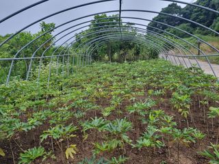 보길도박춘자님의 자유주제 · 자유게시판 작성글 사진