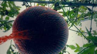 금동이네님의 자유주제 · 자유게시판 작성글 사진