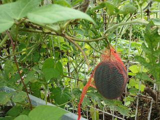 금동이네님의 자유주제 · 자유게시판 작성글 사진