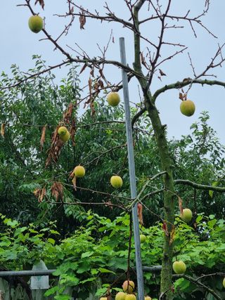 이주항님의 자유주제 · 자유게시판 작성글 사진