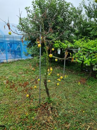 이주항님의 자유주제 · 자유게시판 작성글 사진