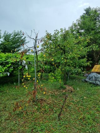 이주항님의 자유주제 · 자유게시판 작성글 사진