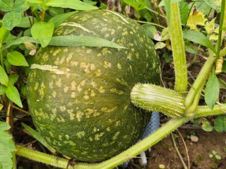 박소원님의 자유주제 · 자유게시판 작성글 사진