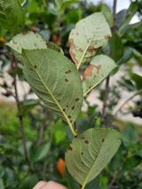 팜모닝 자유주제·자유게시판 게시글 이미지