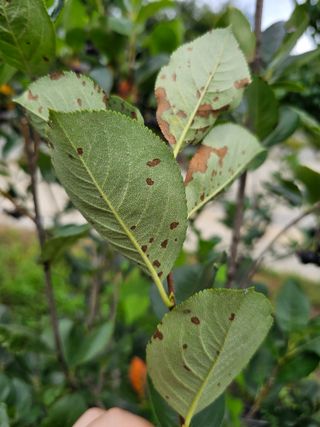 박소원님의 자유주제 · 자유게시판 작성글 사진