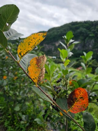 박소원님의 자유주제 · 자유게시판 작성글 사진