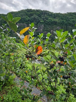 박소원님의 자유주제 · 자유게시판 작성글 사진