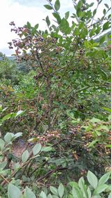 팜모닝 자유주제·자유게시판 게시글 이미지