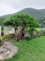 팜모닝 자유주제·자유게시판 게시글 이미지