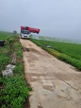 팜모닝 자유주제·자유게시판 게시글 이미지