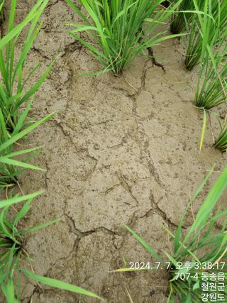황새님의 자유주제 · 자유게시판 작성글 사진