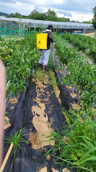 선영~~님의 자유주제 · 자유게시판 작성글 사진