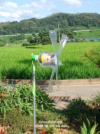 전진규.해돋이님의 자유주제 · 자유게시판 작성글 사진
