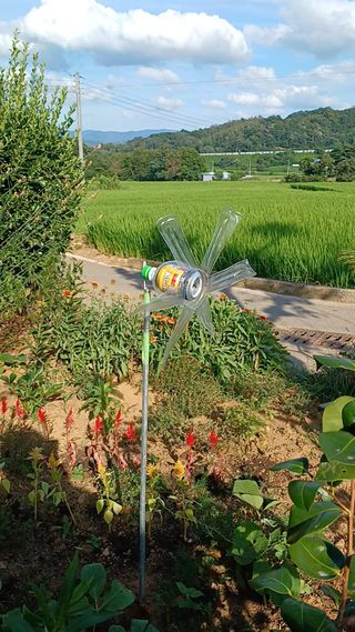 전진규.해돋이님의 자유주제 · 자유게시판 작성글 사진