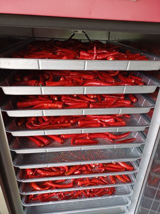 남궁봉님의 고추 · 영농일지 작성글 사진