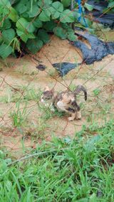 팜모닝 자유주제·자유게시판 게시글 이미지