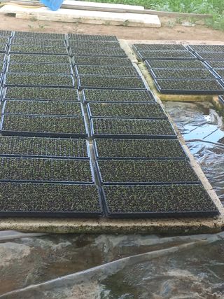 농민님의 자유주제 · 자유게시판 작성글 사진