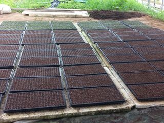 농민님의 자유주제 · 자유게시판 작성글 사진