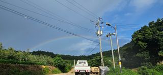 염인수님의 🌧️7월 내 작물 자랑하기 · 참여글 작성글 사진