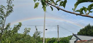 염인수님의 🌧️7월 내 작물 자랑하기 · 참여글 작성글 사진