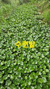 팜모닝 자유주제·사진전 게시글 이미지