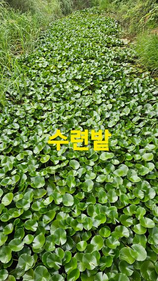 장철식님의 자유주제 · 사진전 작성글 사진