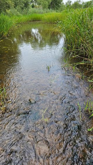 장철식님의 자유주제 · 사진전 작성글 사진