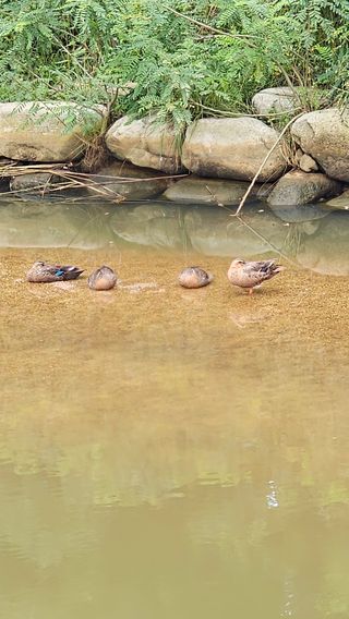 장철식님의 자유주제 · 사진전 작성글 사진