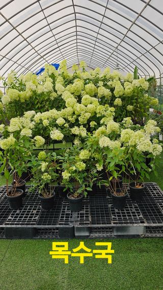 장철식님의 자유주제 · 사진전 작성글 사진