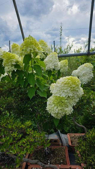 장철식님의 자유주제 · 사진전 작성글 사진