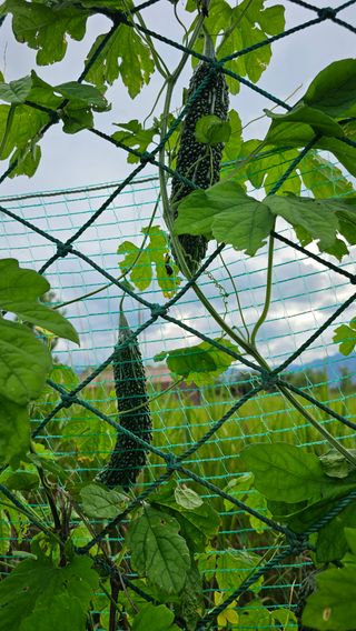 장철식님의 자유주제 · 사진전 작성글 사진