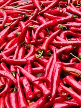 팜모닝 고추·영농일지 게시글 이미지