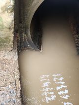 팜모닝 포도·영농일지 게시글 이미지