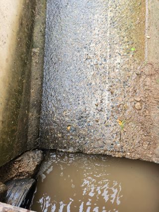 백화산지킴이산야초님의 포도 · 영농일지 작성글 사진