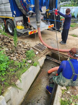 백화산지킴이산야초님의 포도 · 영농일지 작성글 사진