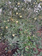 팜모닝 자유주제·자유게시판 게시글 이미지