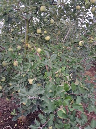 작은정원 박기석님의 자유주제 · 자유게시판 작성글 사진